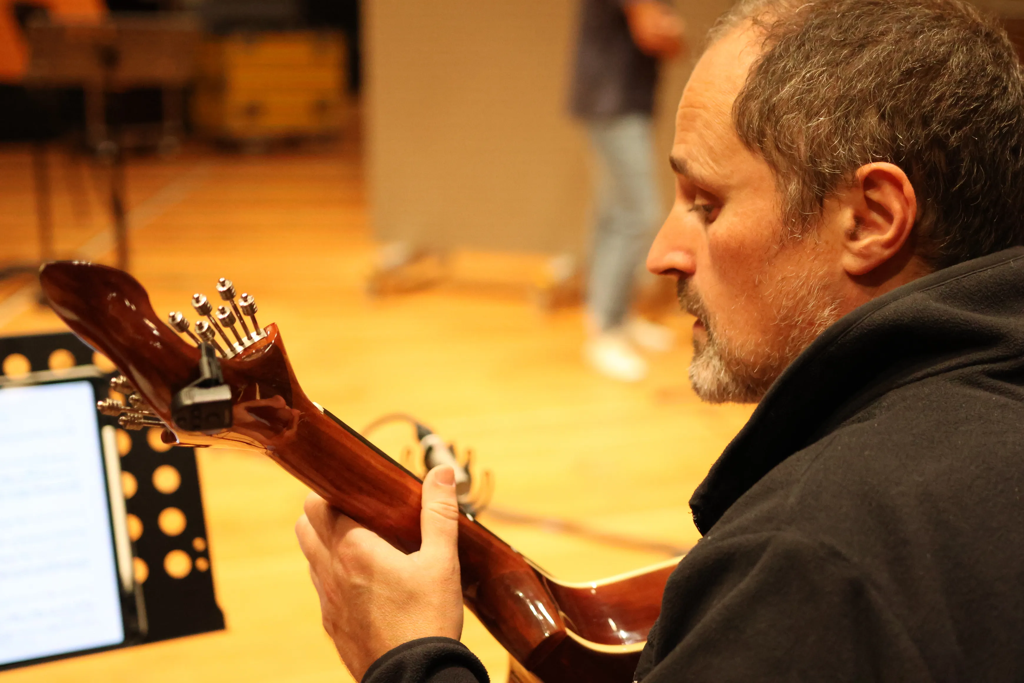Portuguese guitar during the session